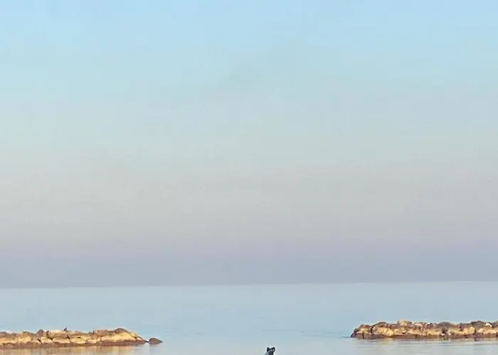 Villino Bavassano - Dimora Storica